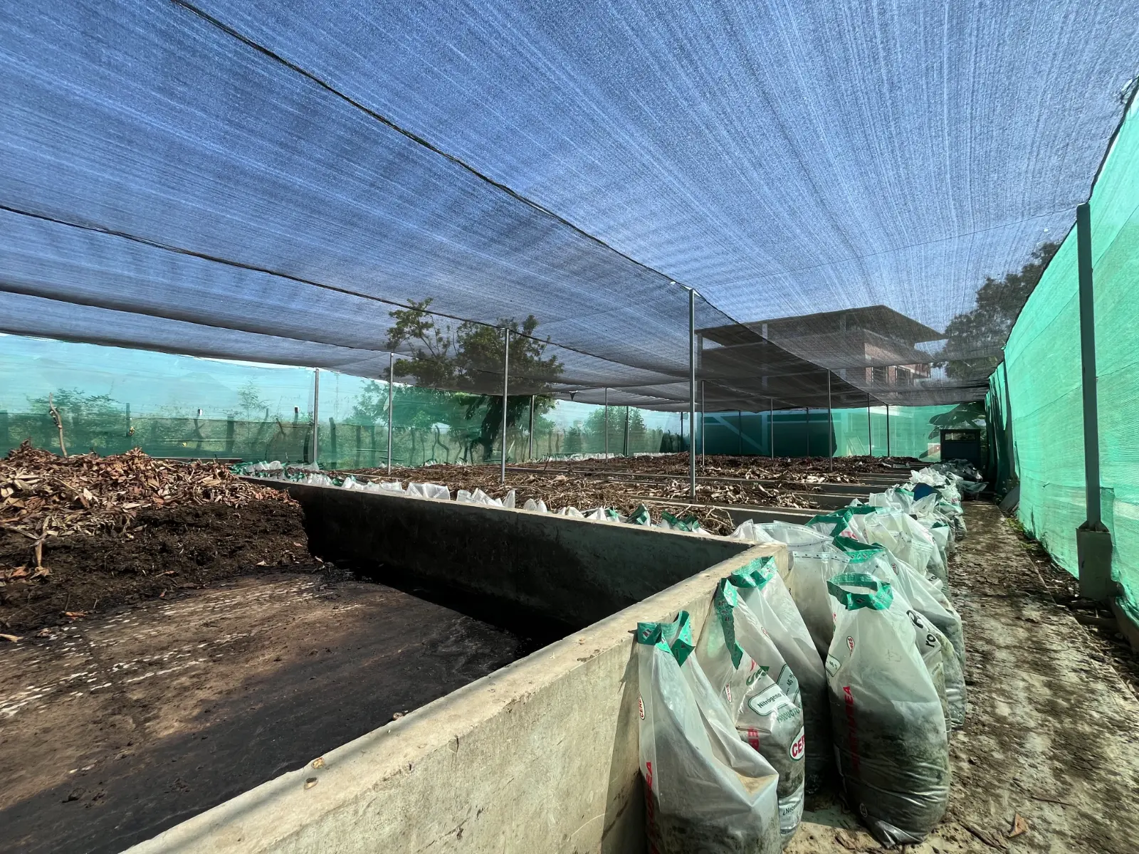 Humus de lombriz proceso 1