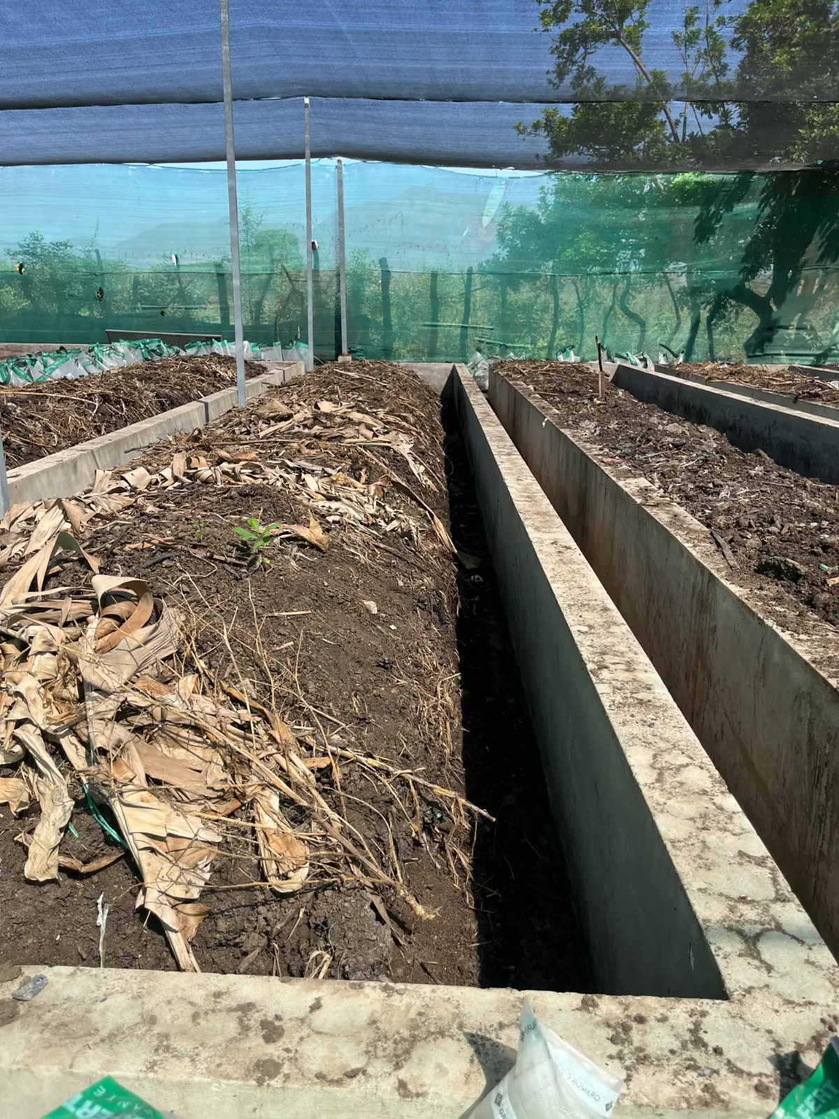 Humus de lombriz proceso 5