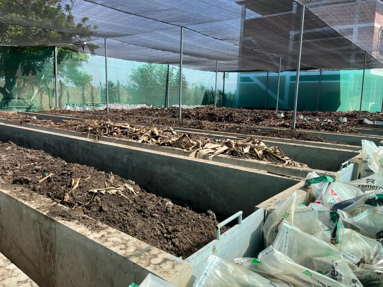 Humus de lombriz proceso 6